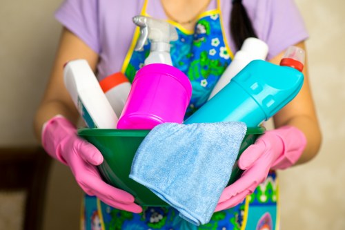 Team member reviewing service details before a cleaning visit