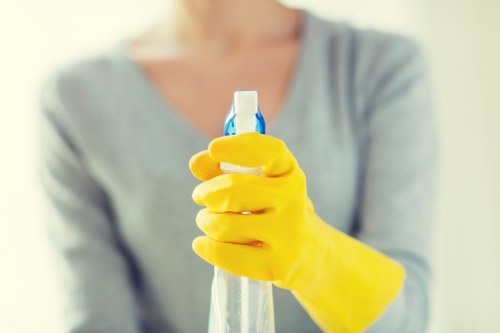 Professional Acton cleaners working in a bright residential living room