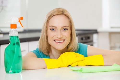 Local house cleaning in Acton supporting a clean and comfortable home