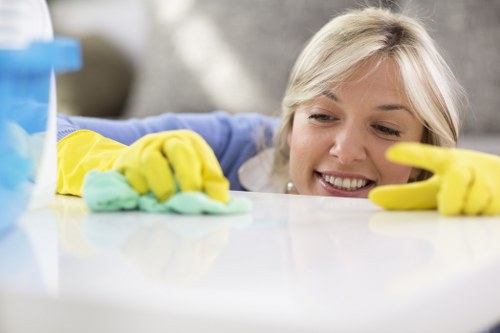 Detailed Acton oven cleaning process with glass door and rack cleaning