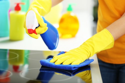 Stain removal and fabric care for upholstery in Acton