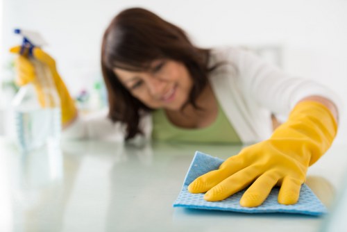 Steam cleaning equipment used by a carpet cleaner in Acton